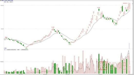 什么是基金主力機構，什么是游資莊